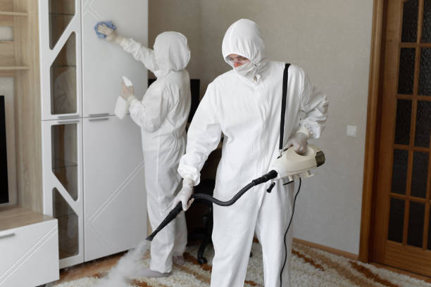 Best Basement Mold Remediation in West Falmouth, MA